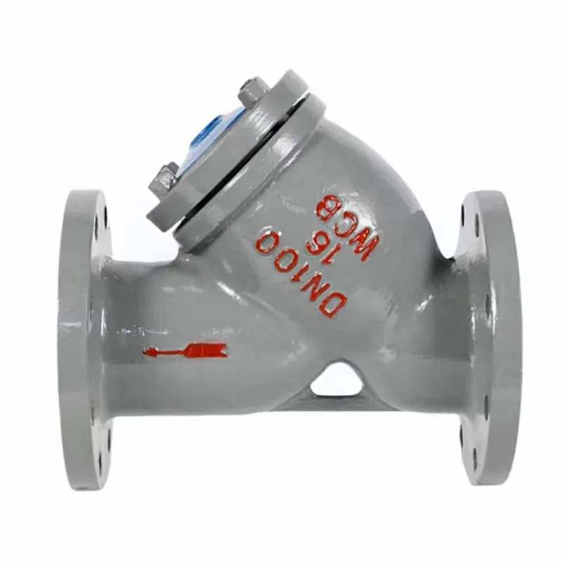 Carbon Steel Flanged Y-type nga Filter